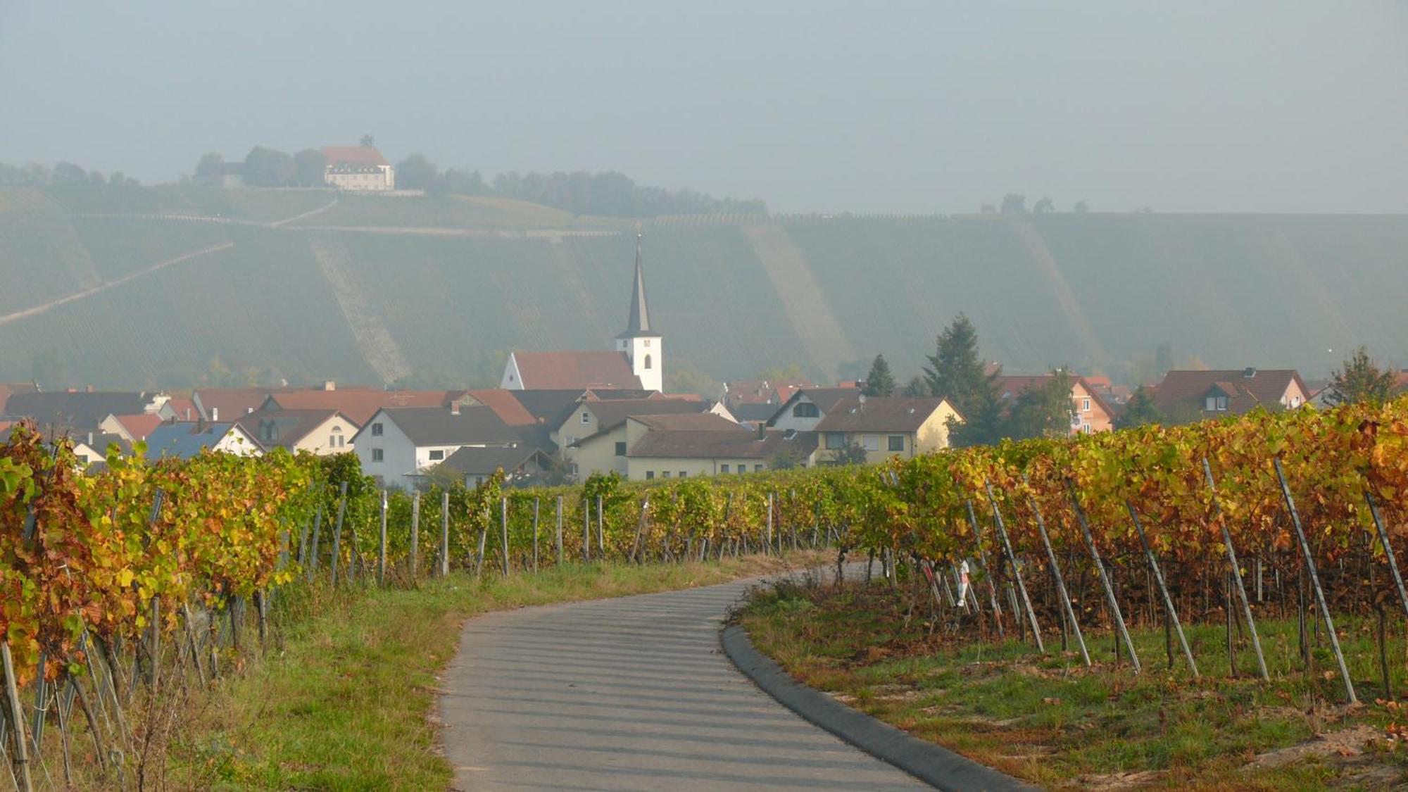 Weingut Herbert Kram Nordheim am Main Εξωτερικό φωτογραφία